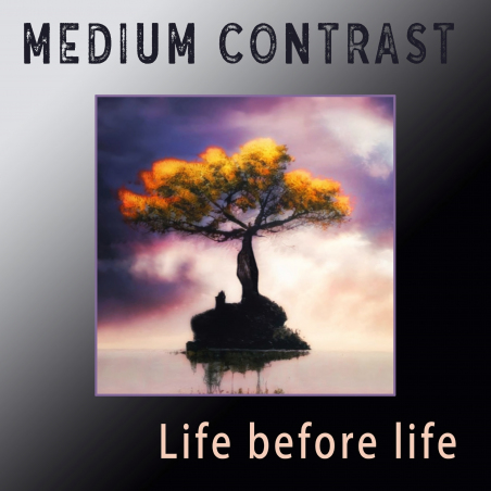 Medium Contrast «Life Before Life» - сингл Intman 5068