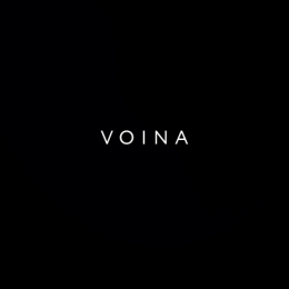 VOINA 